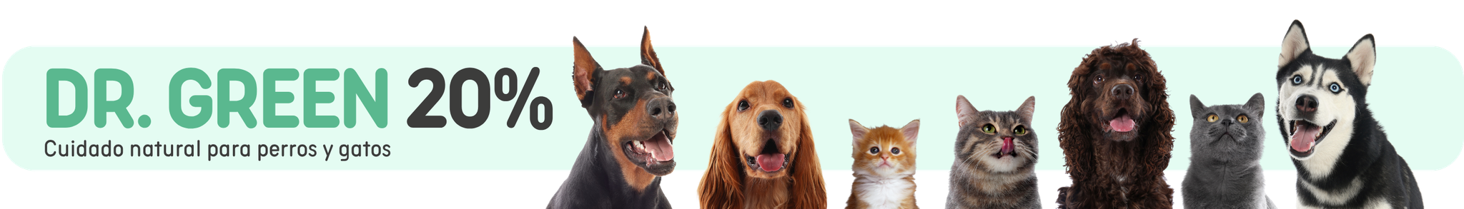 Banner promocional de Dr. Green con 20% de descuento en productos de cuidado natural para perros y gatos, acompañado de imágenes de varios perros y gatos sobre fondo verde claro.