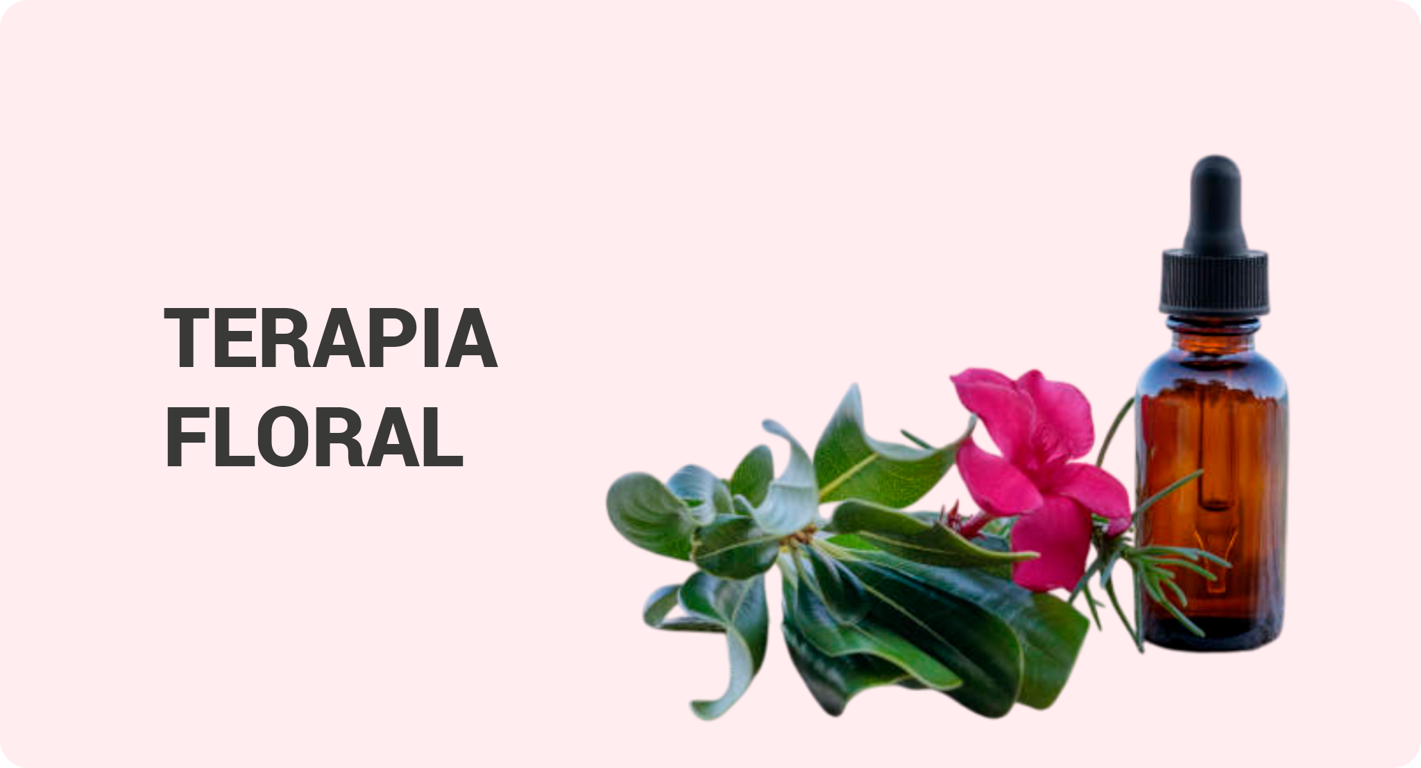 Recipiente cuenta gotas que contiene flores de bach, en el fondo se observa el mar.