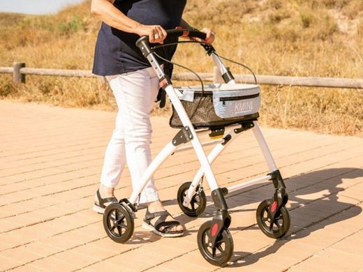 Canes and Walkers (walkers, rollators)
