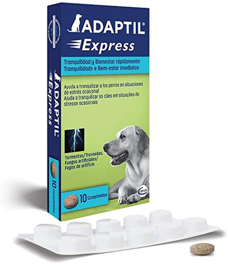 Adaptil Express 10 Comp