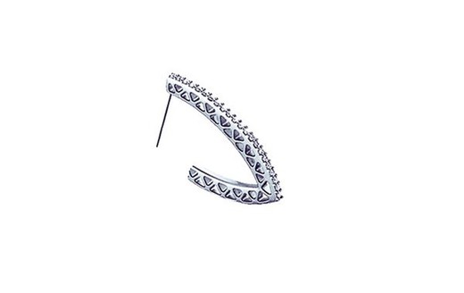 Bijoux Hypologenic Earrings BJT205 Arc Sidney 24mm