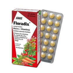 Floradix Ferro e Vitaminas 84 Comprimidos