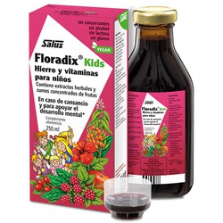 Floradix Kids Ferro e Vitaminas para Crianças 250 ml