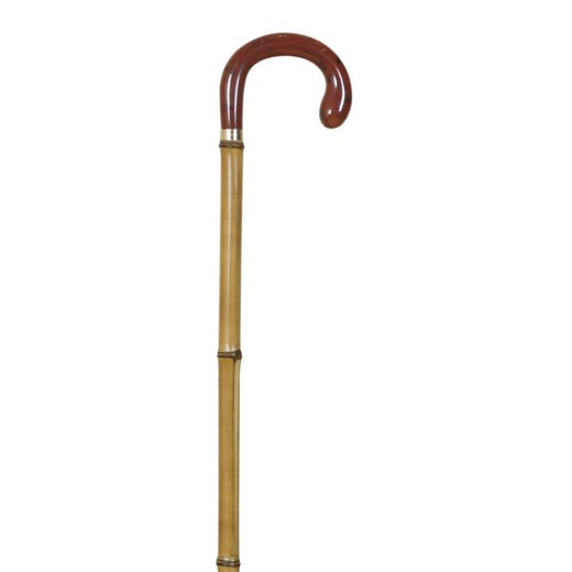 Garcia 1880 Walking Stick Shell Handle 22 mm Bamboo Rubber | R. 45