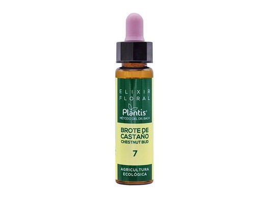 Plantis 7 Chestnut Bud Bach Flowers 10 ml