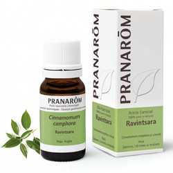 Pranarom Essential Oil AEQT Ravintsara 10 ml