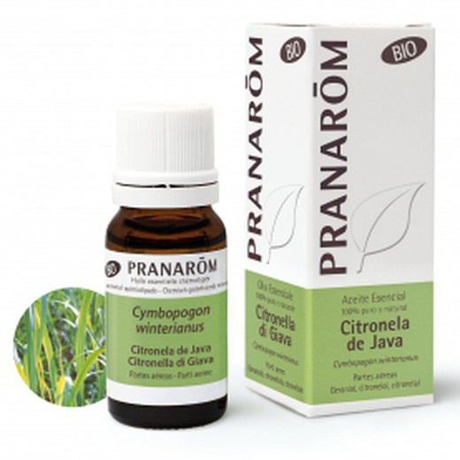 Pranarom Aceite Esencial Citronela De Java 10ml