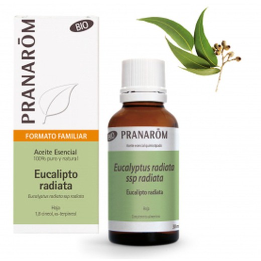 Pranarom Eucalyptus Radiata Essential Oil 30ml