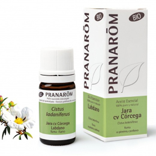 Pranarom Essential Oil Jara Cv Corcega 5ml