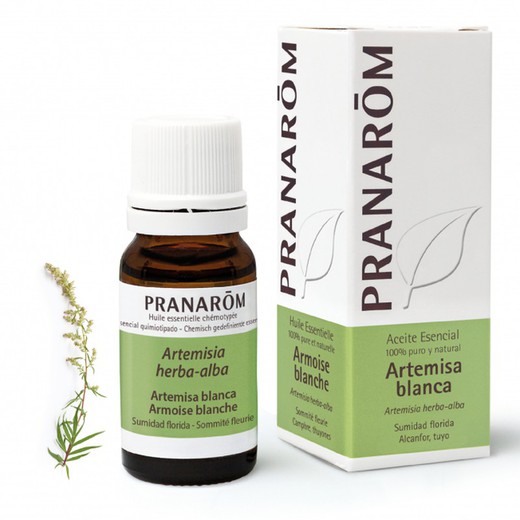 Pranarom Essential Oil AEQT White Mugwort 10 ml