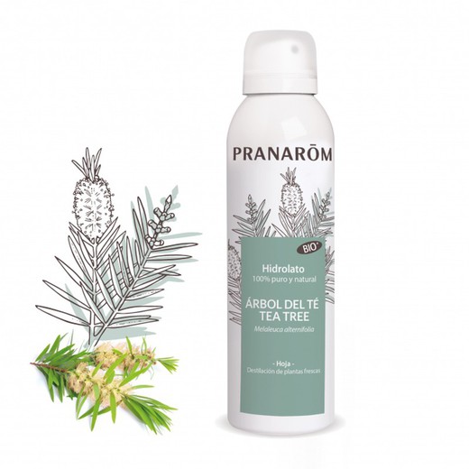 Pranarom Hidrolato Tea Tree Tea Tree 150 ml