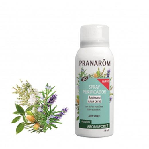 Pranarom Spray Purificante Ravintsara Eucalyptus Bio 75ml