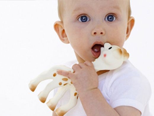 Mordedores y Cuidado de Encías