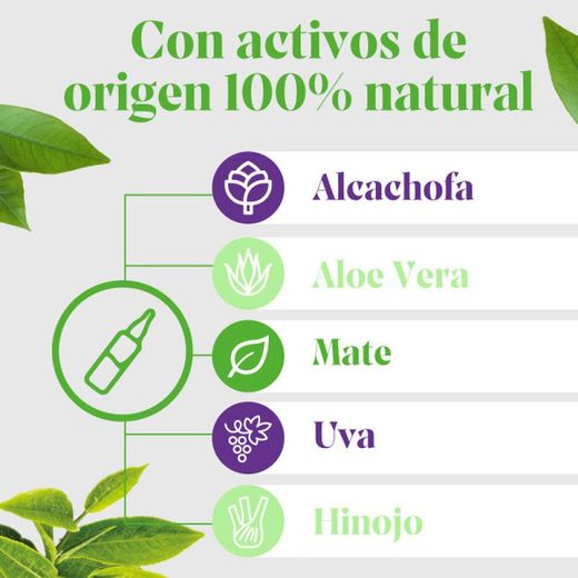 Arkopharma Artichaut Forte Bio Fenouil Maté Raisin 20 U