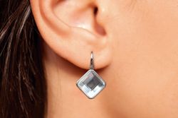 Biojoux Hypolagenic Earrings BJT378 Eliana 29 mm