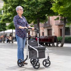Carlett Lett Go Carro Andador Plegable con Asiento y Bolsa de Compra de 20 Litros