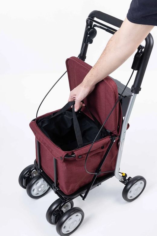 Carlett Carro Andador Comfort Move Lett800