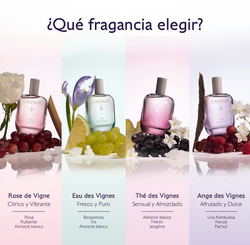 Caudalie Eau de Parfum Ange des Vignes 50 ml
