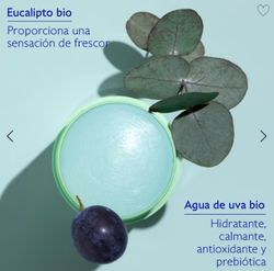 Caudalie Vinofresh Deodorant Stick 50 ml