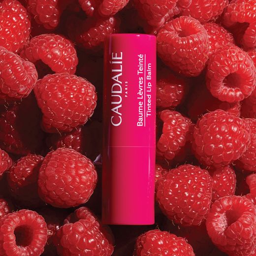 Caudalie Vinotherapist Soin Lèvres Teinté 4,5 g