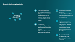 Compeed Calenturas Hydrocolloid Patch 15 U