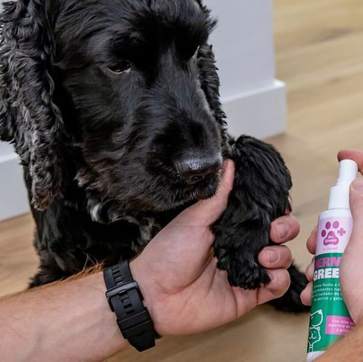 DermaGreen Spray para a pele 150 ml