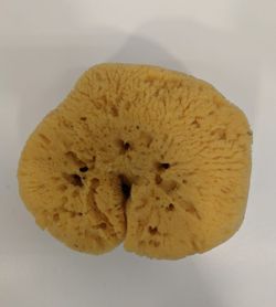 Dimitris Esponja Natural Gigante