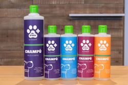 Dr Green Shampoo for Short Hair