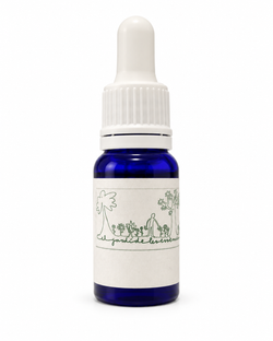 El Jardin de les Essencies Flores Centaury Bach 12 ml