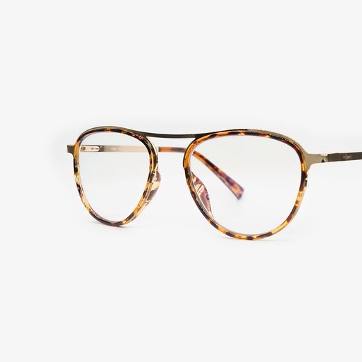 Emery Premium Presbyopia Glasses Singapore