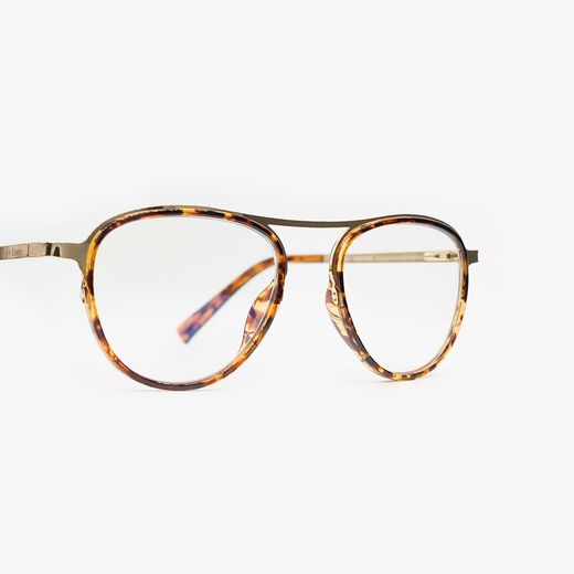 Emery Premium Presbyopia Glasses Singapore