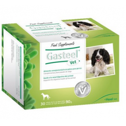 Gasteel Vet 30 Sobres de 3 g