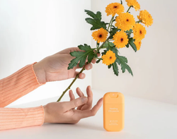 Spray Desinfetante Haan 30ml