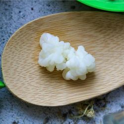 Kefirko Nodulos Deshidratados de Kefir de Leche Ecologicos (1 gr)