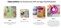 Kefirko Nodulos Deshidratados de Kefir de Agua Ecologicos (5 gr)