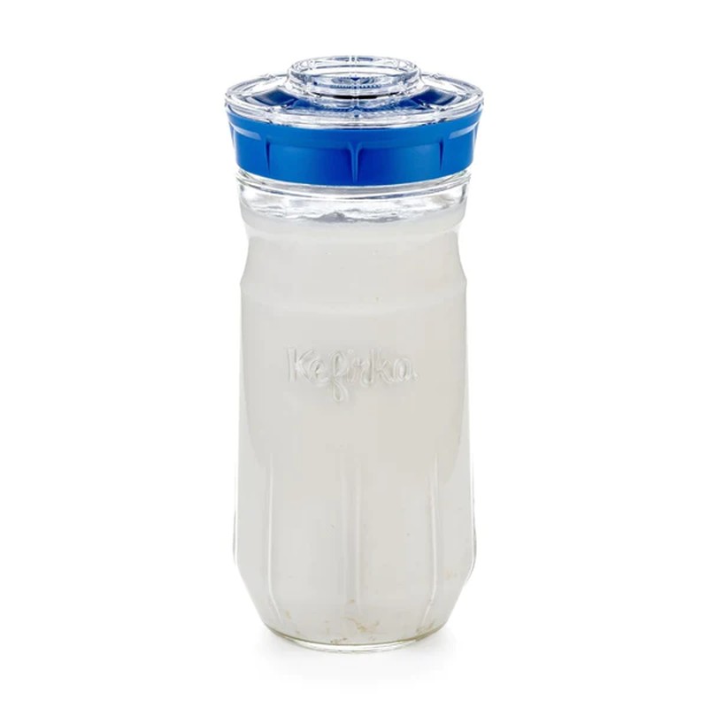 Nodulos deshidratados de Kefir de Agua Ecologicos (5 gr)