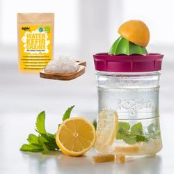 Kefirko Kefir Maker Fermentador de Kefir 848 ml + Nodulos deshidratados de Kefir de Agua Ecologicos (5 gr)