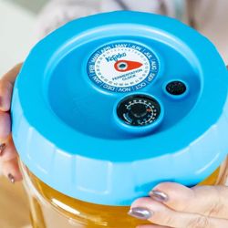 Kefirko Kombucha Fermenter 4 l Azul