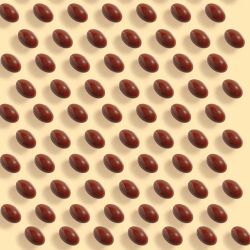 Cápsulas de Preparação Lierac Sunissime Tan - 30 cápsulas