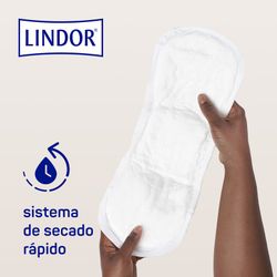 Lindor PACK Lady Maxi Night Compresses 6 Drops 2 x 14 Units