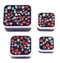 Little Lovely Lunch & Snack Box Set (4 Fiambreras)