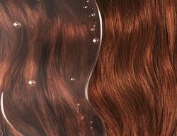 Phyto Color Shampoo Proteção da Cor 500 ml