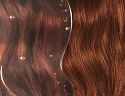 Kit Presente Phyto Color: Máscara Colorante 200ml + Shampoo 50ml - Tratamento Reparador para Cabelos Coloridos ou com Mechas