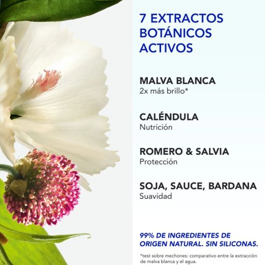 Phyto Phyto 7 Elixir Creme de Día Nutritivo – 50 ml / 100 ml