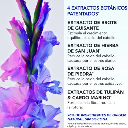 Phyto Pack Perda de Cabelo Reacional (Pós-parto, Estresse)