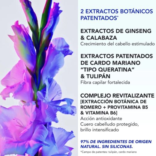 Phytophanère Ultra Growth and Length Serum 50 ml