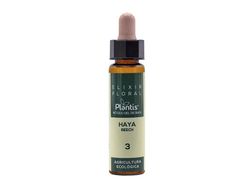 Plantis 3 Haya Beech Flor De Bach 10 ml