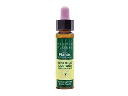 Plantis 7 Chestnut Bud Flores De Bach 10 ml