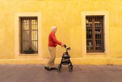 Playcare Trotteur Pliant Avec Roues Gris W4