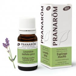 Pranarom Lavender Male Essential Oil 10ml